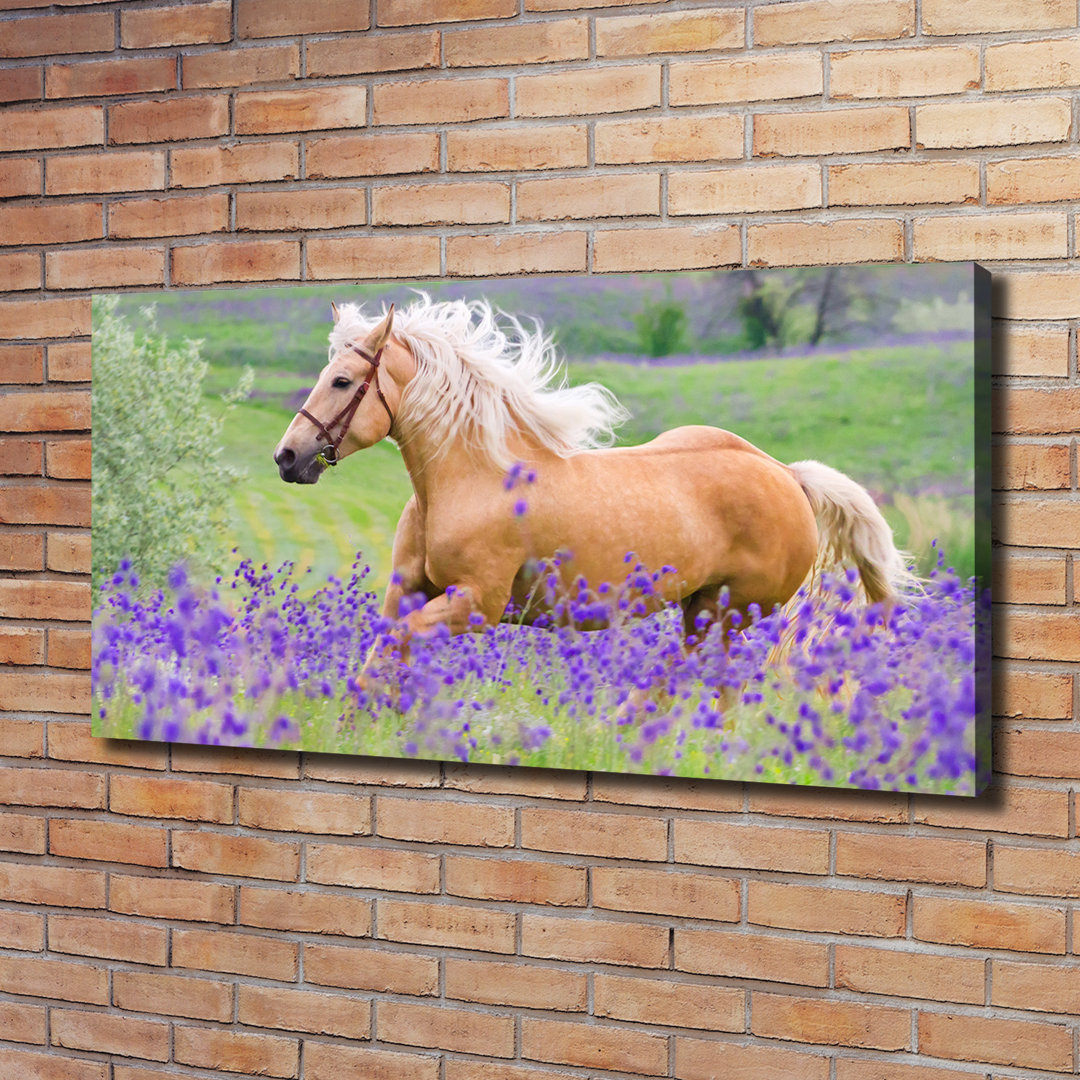 Horse On The Lavender Field - No Frame Print on Canvas