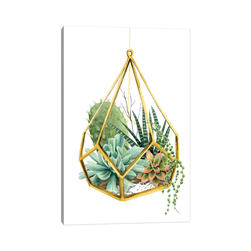 Wild Terrarium II by Grace Popp - Wrapped Canvas Print, 30.48cm H x 20.32cm W x 1.91cm D
