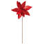 Tiges de poinsettia-494682502