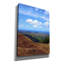 «Waimea View» par Nicole Dell, art mural sur toile-1346801987