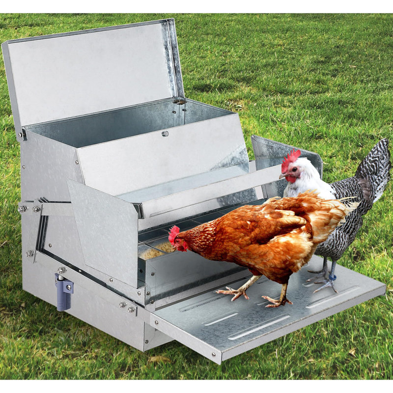 Dinise Feeder, 15.4" H x 11.2 " W x 20.86" D