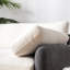 Chaise moderne moderne de 50 po x 43 po, fauteuil en chenille à assise large, canapé avec 2 coussins pour le salon, la structure et le style minimaliste