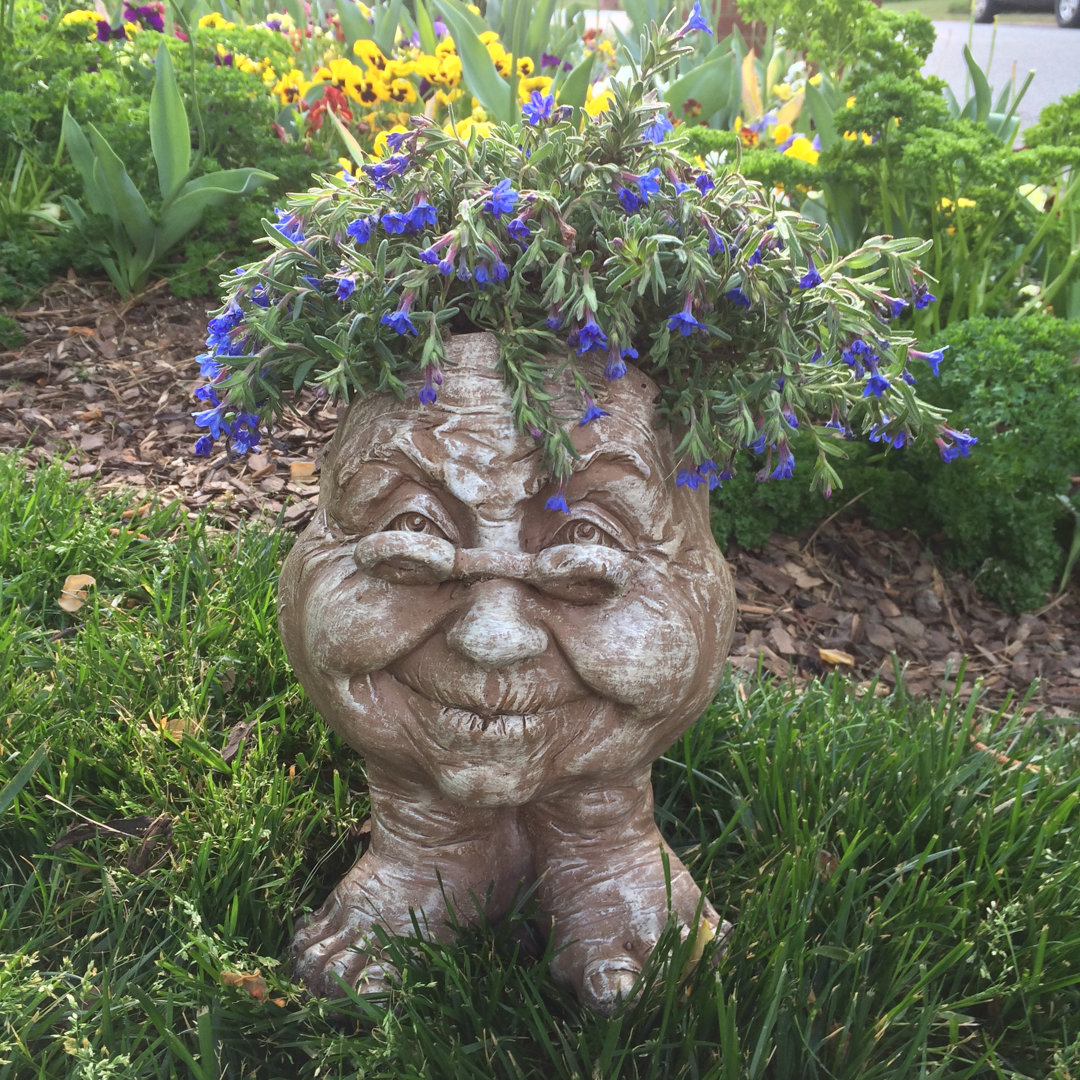 Muggly's Grandma Violet Face Statue Planter HomeStyles 