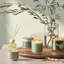 Bougie magnifiquement faite Terra Tabac-113853293