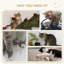 Rodier 96cm H Cat Tree
