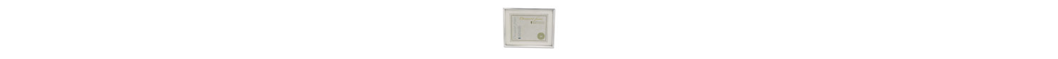 Metallic Silver Matte Picture Frame with Mat