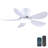 Flush Mount Ceiling Fan With Light And Remote/app-818611762-818611767