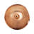 Dogwood Birdbath with Rail Mount Bracket