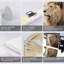 Pont, inspiration, bureau, art mural, rétro, fond en bois, tête de lion, peinture sur toile, décoration intérieure moderne, être fort et courageux, encadré 24 po x 36 po