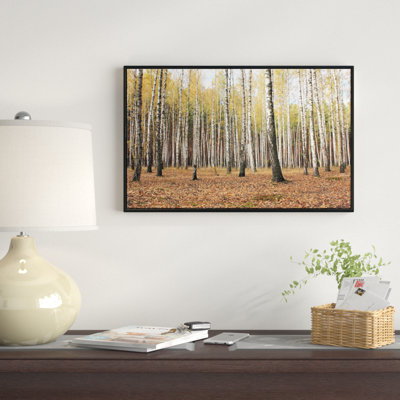 «Beautiful Birch Forest Photographie», reproduction de photo sur toile tendue encadrée