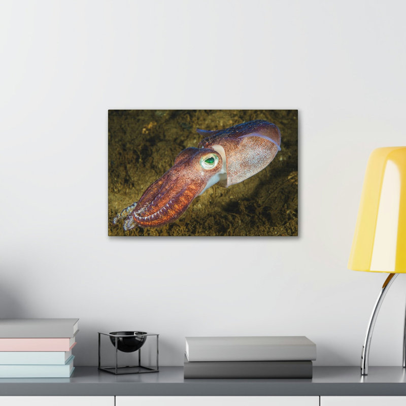 «Squid Hunting Squid on Hunt», reproduction d'art mural, H 12 po x l 18 po
