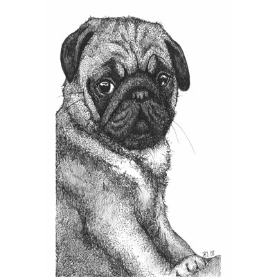 Ralph The Pug - Wrapped Canvas Art Prints