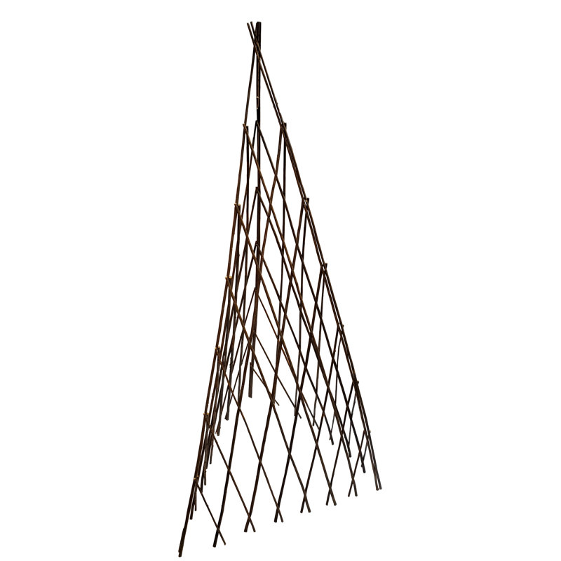 Willow Expanding Teepe Trellis, Brown, 60" H x 12" W x 1" D