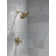 Rain Dual Shower Head with H2Okinetic Technology