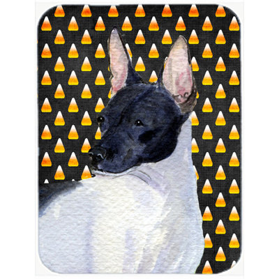 Caroline's Treasures Halloween Candy Corn Rat Terrier Portrait Glass Cutting Board