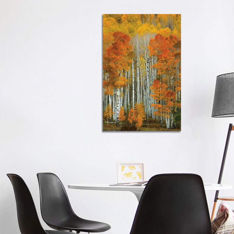 Dalmatian Autumn by Bill Sherrell - Print on Canvas, 66.04 cm H x 45.72 cm W x 3.175 cm D, Wrapped Canvas