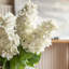 Vintage Cone Hydrangea Floral Stem-1957133385
