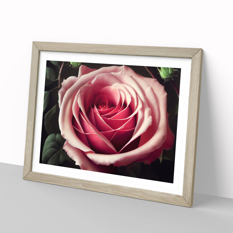 Sparkling Rose Flower - Framed Print, 46cm H x 64cm W x 2cm D, Oak