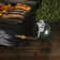 Blackstone On the Go 17" Tabletop Griddle with Hood