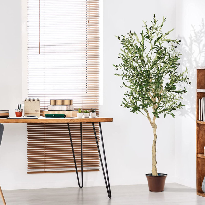 72'' Faux Olive Tree Tree in Pot