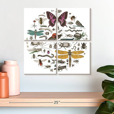 Cercle d'insectes Brampt II brillant