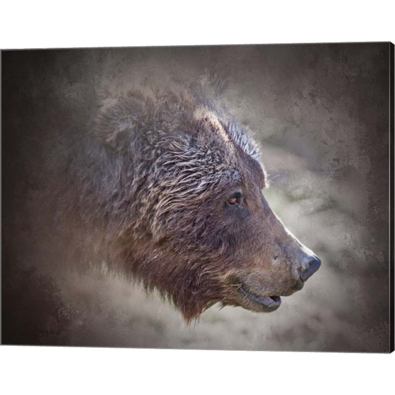 " Grizzly Bear Boar "