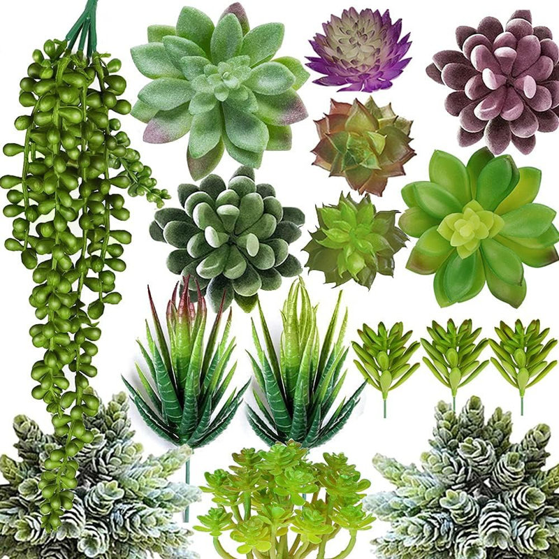 Plantes succulentes artificielles - ensemble de 16 ...