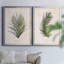 Palm Botanical I - ensemble de 2 impressions-1280204971-1211584036-1280204969