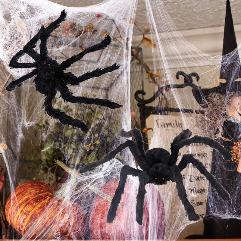 Halloween Spider