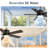 Cissline 42" Modern Black Indoor/Outdoor Waterproof Ceiling Fan with Led Light and Remote Control for Patio/Pergola/Gazebo