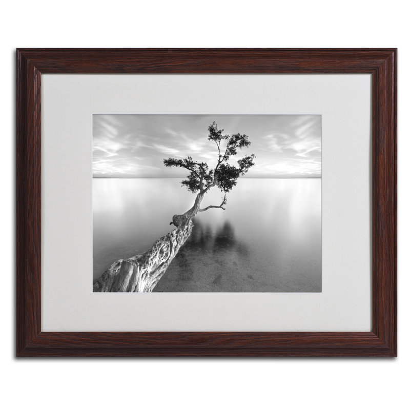 « water tree xiii », reproduction de photo sur toile encadrée, H 11 po x l 14 po x P 0,5 po, Noir