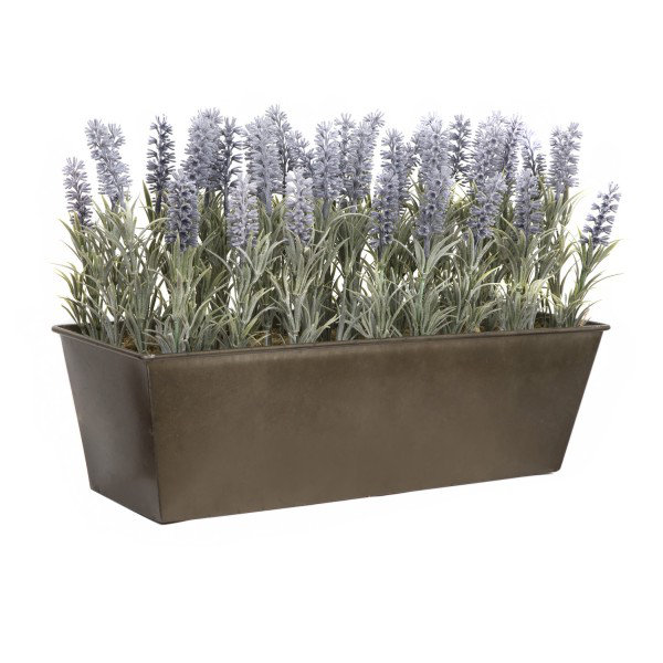 Lavender in Rustic Tin Planter (Window Box)