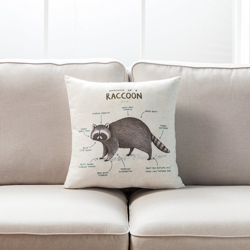Pillow Cover, Black/Anatomy of A Raccoon