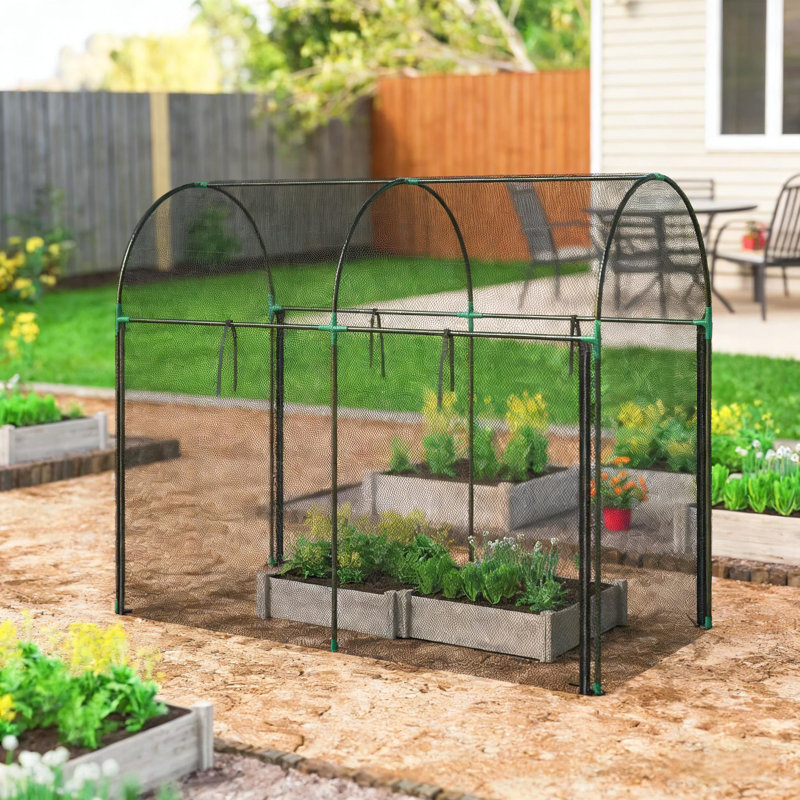 Cage à plante spacieuse avec housse en maille PEHD, idéale pour protéger les grands légumes et les plantes grimpantes, Black