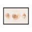«Shell Collector I», reproduction d'impression sur toile tendue-72455709-27698939-72455703