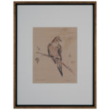 Dove Rest V Print by Daughdrill