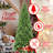 7.5FT Slim Christmas Tree – 1396 Tips-1653902234