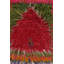 One-of-a-Kind 3'8" X 5'1" Hand Knotted Area Rug