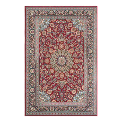 Indoor/Outdoor Traditional Area Rug