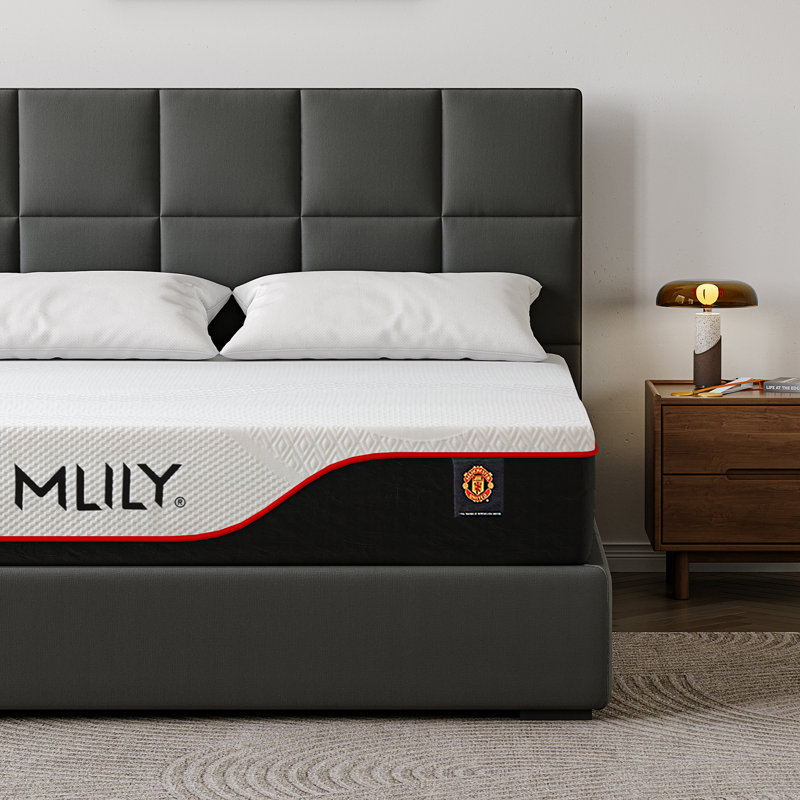 Matelas en mousse viscoélastique 12 po, Simple extra long