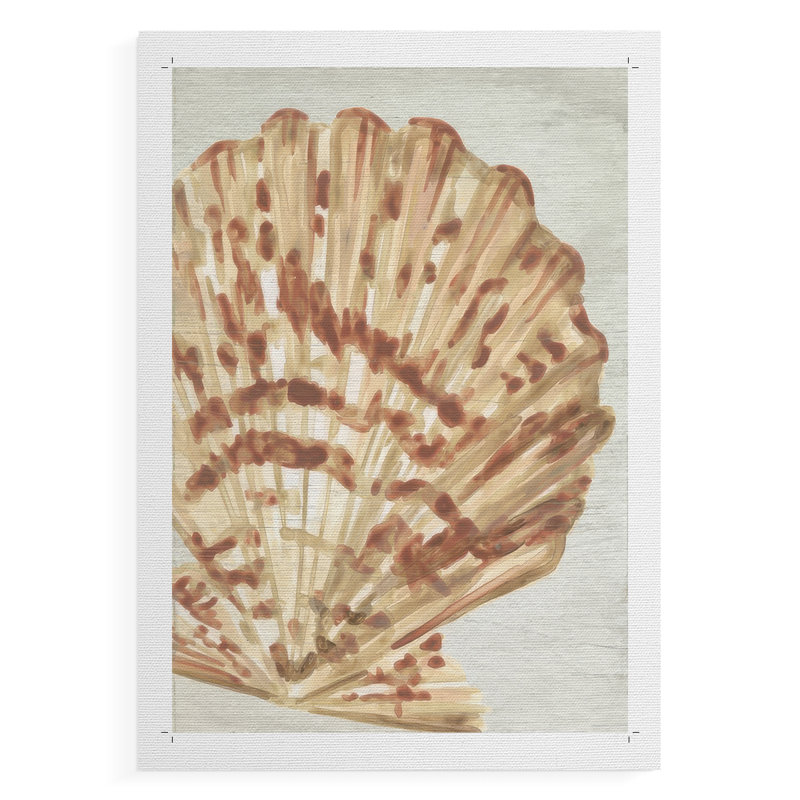 «Vintage Shell Vignette III», impression sur toile seulement - non encadrée, H 36 po x l 24 po