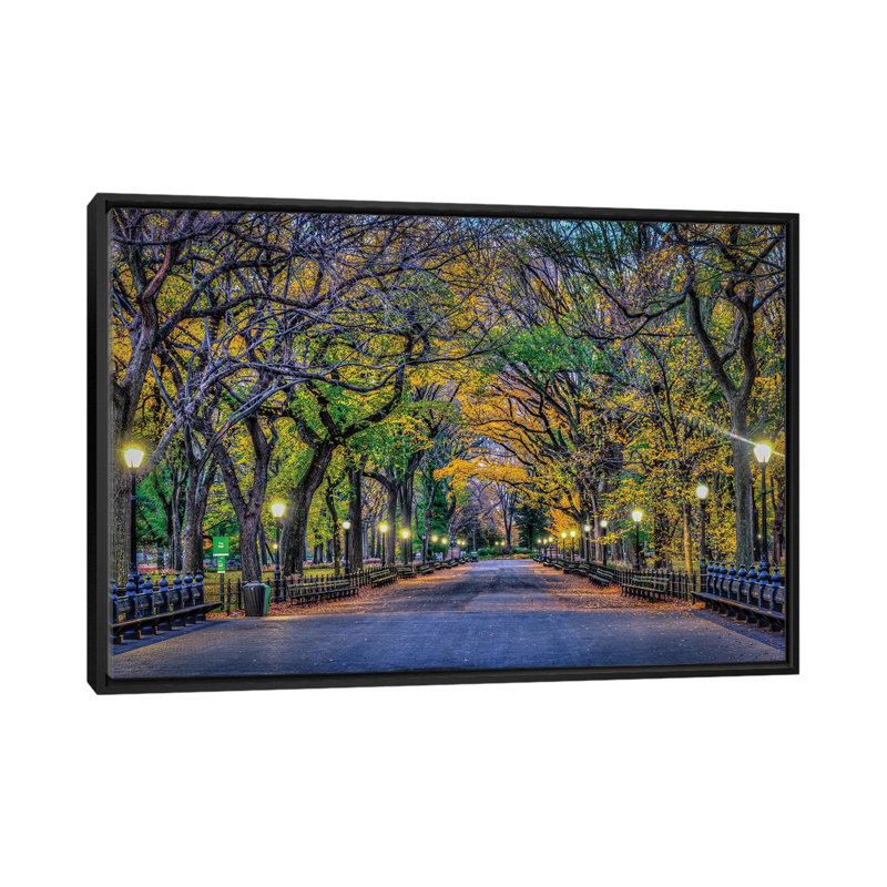 " Central Park Night " by David Gardiner, Black Framed Canvas, No Mat, 26" H x 40" W x 1.5" D