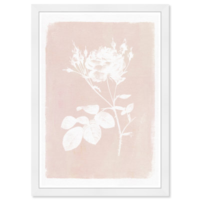 Plants & Flowers Framed Art