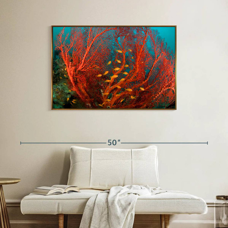Corail de feu, Cadre flottant doré, 40 po x 27 po