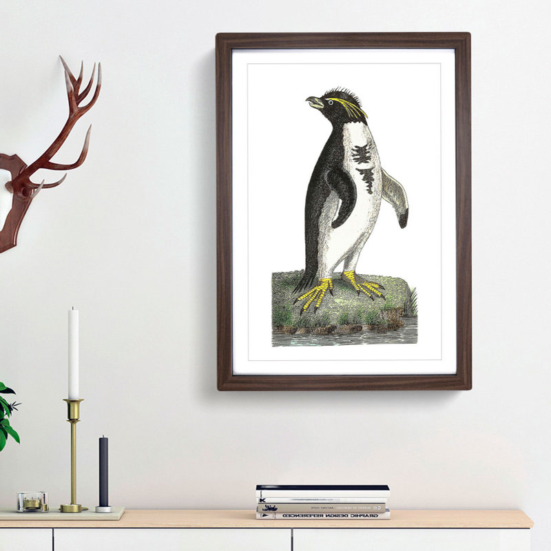 Crested Penguin by George Shaw - Picture Frame Painting Print, 36cm H x 27cm W x 2cm D, Walnut Framed
