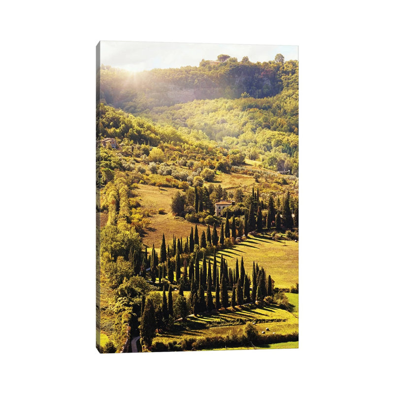 Countryside In Tuscany Italy With Cyprus Trees 1 Piece Wall Art on Canvas, 101.6 cm H x 66.04 cm W x 1.91 cm D, Canvas