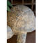  Figurine de tortue en faux béton en résine H 9 po - Décoration de jardin extérieur - Art de jardin