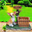 Jardinière compacte en résine, statue de chihuahua rustique pour patio