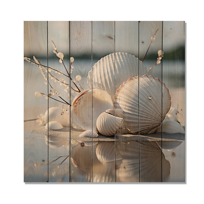 Photographie de coquillage blanc minimal - coquillage sur bois de pin naturel, H 15 po x l 15 po