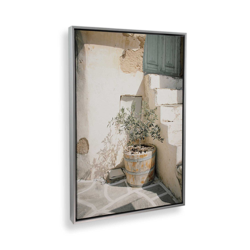 «Olive Tree in the Sun», reproduction sur toile, Cadre flottant en chrome poli, H 18,75 po x l 12,75 po x P 1,75 po